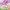 https://res.cloudinary.com/billionhands/image/upload/v1775422905/items/oxnxv6l7barddkvslwja.jpg-0cover