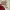 https://res.cloudinary.com/billionhands/image/upload/v1775422910/items/bm5yi8jmokxspunugryc.webp-3cover
