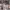 https://res.cloudinary.com/billionhands/image/upload/v1775423174/items/gqpqruxxfmfszmgosph4.jpg-0cover