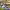 https://res.cloudinary.com/billionhands/image/upload/v1775423893/items/hvjzk7j8tpl3uixe8lqu.jpg-2cover