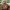 https://res.cloudinary.com/billionhands/image/upload/v1775424043/items/pagve8ap38vifwrxhfrx.avif-3cover