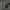 https://res.cloudinary.com/billionhands/image/upload/v1775424193/items/l0ra0hmqub8mrqdgm6ft.jpg-3cover
