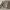 https://res.cloudinary.com/billionhands/image/upload/v1775424196/items/lcrsqkdamuc9toypslhc.png-0cover