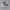 https://res.cloudinary.com/billionhands/image/upload/v1775424268/items/f37n9atjscgfqexmmsg5.jpg-1cover