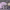 https://res.cloudinary.com/billionhands/image/upload/v1775424275/items/qtlmaoajpswydtkdpnl9.avif-1cover