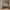 https://res.cloudinary.com/billionhands/image/upload/v1775424278/items/fhgmqbm4wmckexk6dswm.webp-1cover
