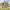 https://res.cloudinary.com/billionhands/image/upload/v1775424463/items/pfr9cfldckk6mufexnku.jpg-1cover