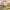https://res.cloudinary.com/billionhands/image/upload/v1775424478/items/c3wc32gsgrk9lridcqit.png-0cover