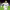 https://res.cloudinary.com/billionhands/image/upload/v1775425016/items/o8qtdfvutllgtbgn0we7.jpg-0cover