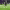 https://res.cloudinary.com/billionhands/image/upload/v1775425031/items/g3pvuqja6aljq8wf5epv.jpg-3cover