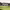 Bruntsfield Links Golfing Society (Edinburgh, Midlothian) cover