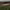 Muirfield Golf Club (Gullane, East Lothian) cover