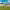 https://res.cloudinary.com/billionhands/image/upload/v1775425701/items/y7hzdjph1xsr4dguaxpf.jpg-0cover