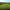 Royal Aberdeen Golf Club – Balgownie Links (Aberdeen, Aberdeenshire) cover