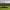 https://res.cloudinary.com/billionhands/image/upload/v1775425703/items/nlc7fzx5ijihltrmxhid.jpg-0cover