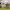 https://res.cloudinary.com/billionhands/image/upload/v1775425703/items/png1b7scxijp5dhfgpmn.jpg-3cover
