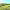 https://res.cloudinary.com/billionhands/image/upload/v1775425704/items/tccscvp8pfaelhmfswdx.jpg-2cover