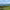 Trump Turnberry Resort – Ailsa Course (Turnberry, South Ayrshire) cover