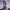https://res.cloudinary.com/billionhands/image/upload/v1775426583/items/ufmyxfy3fm9t9mcsirxb.jpg-3cover