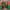 https://res.cloudinary.com/billionhands/image/upload/v1775426584/items/tydo0iprbplf6icx6urm.jpg-3cover