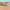 https://res.cloudinary.com/billionhands/image/upload/v1775426802/items/ej4k5hjppii1mb0tkalj.jpg-2cover
