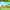 https://res.cloudinary.com/billionhands/image/upload/v1775426838/items/kiisqkdjqc8b9tz3epin.jpg-0cover