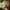 https://res.cloudinary.com/billionhands/image/upload/v1775426960/items/xjel8zkwuwpewrwip1js.webp-2cover