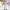 https://res.cloudinary.com/billionhands/image/upload/v1775427144/items/ijuhfbv77culhibvt4pt.jpg-2cover