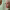 https://res.cloudinary.com/billionhands/image/upload/v1775427292/items/kfmpjmy9i1jlcrflpvm9.webp-2cover