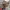 https://res.cloudinary.com/billionhands/image/upload/v1775427315/items/zwnqiunnmfboun3tuddq.avif-3cover