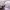 https://res.cloudinary.com/billionhands/image/upload/v1775427648/items/drsug3q4bv7rq1ljsqer.jpg-3cover