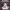 https://res.cloudinary.com/billionhands/image/upload/v1775428194/items/vcmqejppexzsumwcpbpr.jpg-1cover