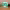 https://res.cloudinary.com/billionhands/image/upload/v1775429883/items/dufxhhkl4t9jo8fbuki2.webp-2cover