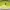 https://res.cloudinary.com/billionhands/image/upload/v1775430221/items/dhnxxwsuntju70uqbpk0.webp-1cover
