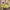 https://res.cloudinary.com/billionhands/image/upload/v1775430223/items/vd5eyyptt1zd9gr5nubm.webp-2cover