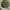 https://res.cloudinary.com/billionhands/image/upload/v1775430224/items/y8twjujzgukrimffvpsn.jpg-1cover