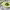 https://res.cloudinary.com/billionhands/image/upload/v1775430226/items/eqfgiheldufarbwtgngj.jpg-2cover