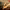 https://res.cloudinary.com/billionhands/image/upload/v1775431191/items/cbqpungxoflc8dirt5s0.webp-2cover