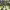 https://res.cloudinary.com/billionhands/image/upload/v1775431305/items/rdosccu3fvmoiszmycbk.webp-2cover