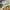 Red Elm Premier Landscaping (Upstate SC) cover