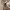 https://res.cloudinary.com/billionhands/image/upload/v1775431493/items/nohp4eblx3kwsxswvd3m.webp-1cover