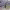 https://res.cloudinary.com/billionhands/image/upload/v1775431950/items/iblzay0zyrwr5avksvvc.jpg-1cover