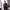 https://res.cloudinary.com/billionhands/image/upload/v1775432071/items/c6vparv2jbvqgkpvvwsi.jpg-3cover