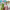 https://res.cloudinary.com/billionhands/image/upload/v1775433133/items/fwu8qizw50c0bjzfqn4k.png-0cover