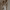 https://res.cloudinary.com/billionhands/image/upload/v1775433402/items/w9p9fbvi8awebopzljru.jpg-2cover