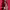 https://res.cloudinary.com/billionhands/image/upload/v1775433413/items/st0ssfarijaspyykyvpi.webp-1cover