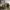 https://res.cloudinary.com/billionhands/image/upload/v1775433745/items/nngpbjhuglcwndwottpj.jpg-2cover