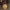 https://res.cloudinary.com/billionhands/image/upload/v1775434700/items/elfoxdvi4lptgkrkxmt3.jpg-3cover