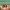 https://res.cloudinary.com/billionhands/image/upload/v1775434706/items/ucwxy6agwjwrkyjxz9b2.png-2cover
