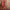 https://res.cloudinary.com/billionhands/image/upload/v1775434840/items/ila4vowtrih9hzcx4bh3.jpg-3cover